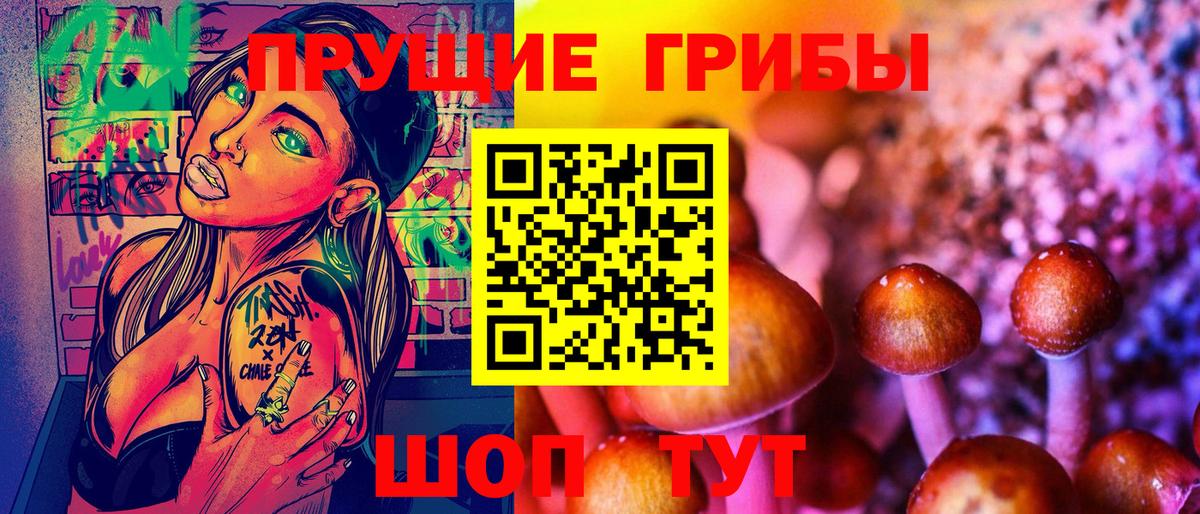 Псилоцибиновые грибы Cubensis  Вход с VPN  Знаменск 